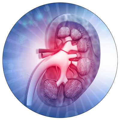 dialysis-unit-kidney